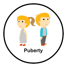 placeholder image to represent content