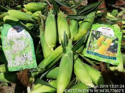 placeholder image to represent content