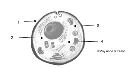 Question Image
