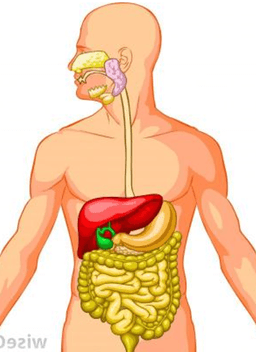 placeholder image to represent content