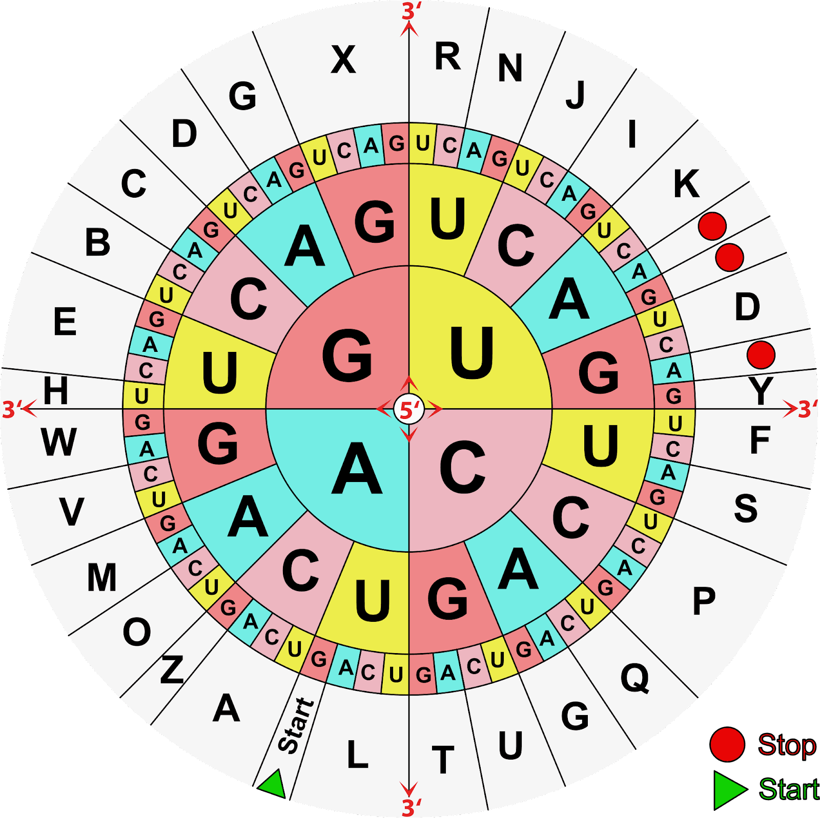 Question Image