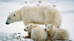 placeholder image to represent content