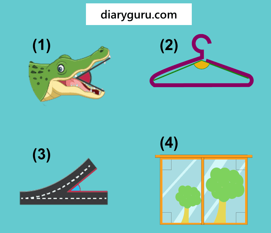 Question Image