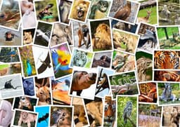 placeholder image to represent content