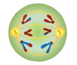 placeholder image to represent content