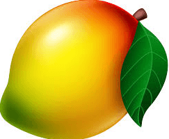 Answer Image