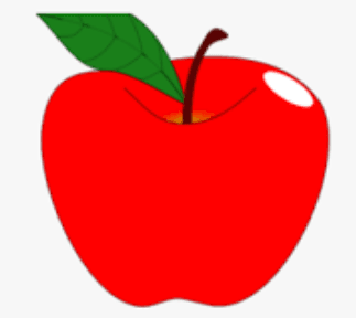 Answer Image