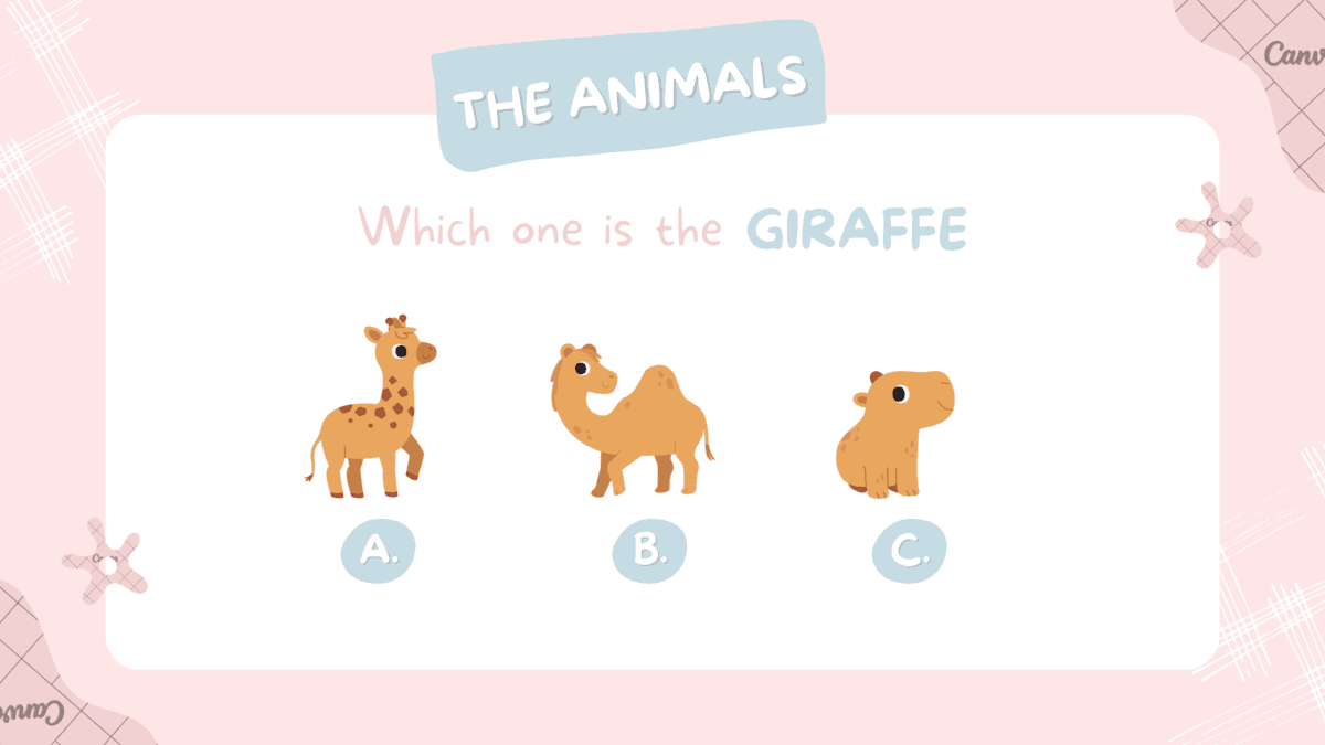 Question Image