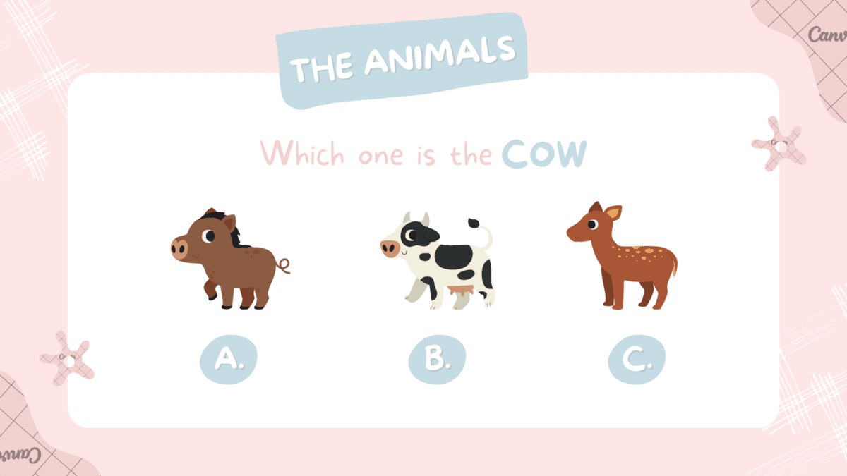 Question Image