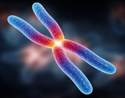 placeholder image to represent content