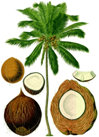 Answer Image