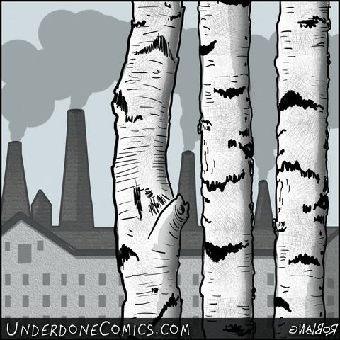 placeholder image to represent content