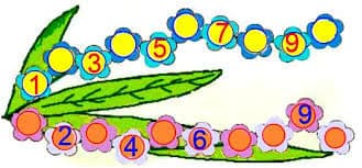 Question Image