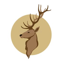 placeholder image to represent content