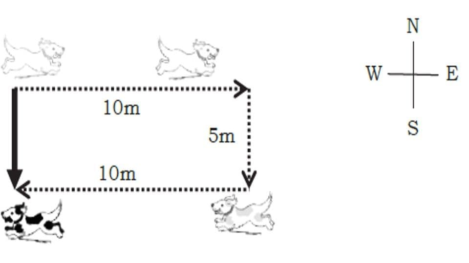 Question Image