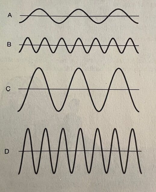 Question Image