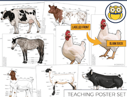 placeholder image to represent content