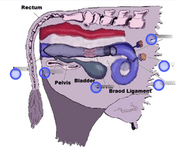 placeholder image to represent content