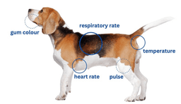 placeholder image to represent content