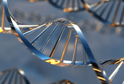 placeholder image to represent content