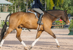 placeholder image to represent content