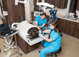 placeholder image to represent content