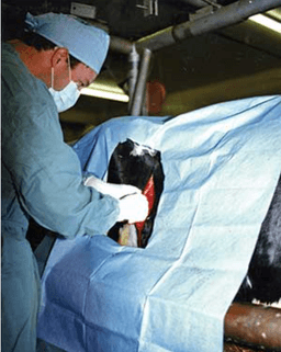 placeholder image to represent content