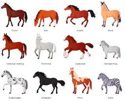 placeholder image to represent content