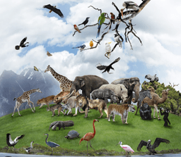placeholder image to represent content