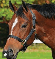 placeholder image to represent content