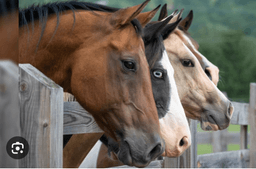 placeholder image to represent content