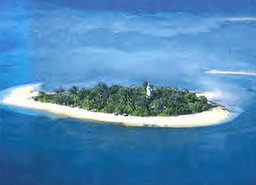 placeholder image to represent content