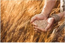 placeholder image to represent content