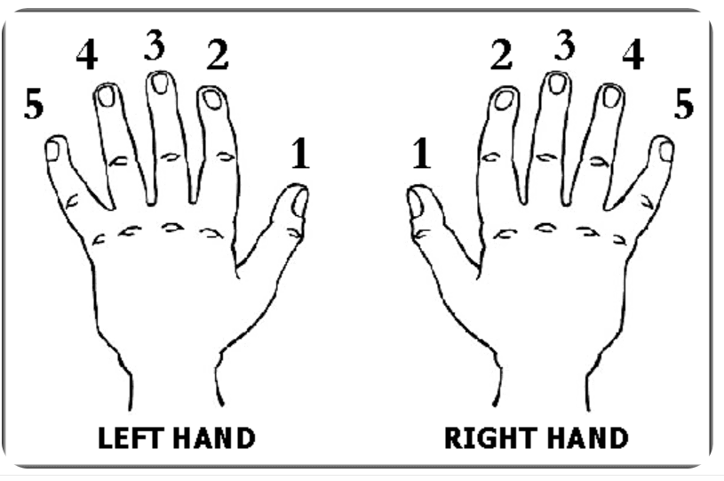 Question Image