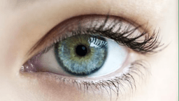 placeholder image to represent content