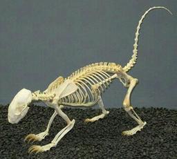 placeholder image to represent content