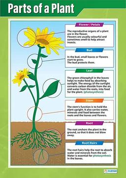 placeholder image to represent content