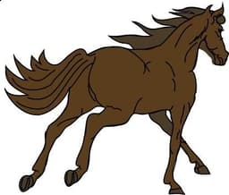 placeholder image to represent content