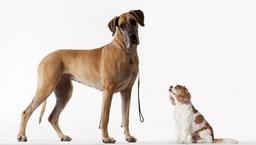 placeholder image to represent content