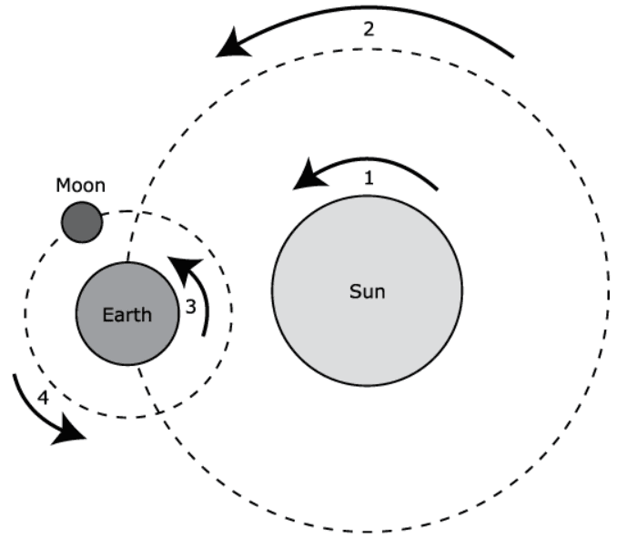 Question Image