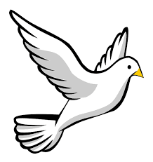 Answer Image