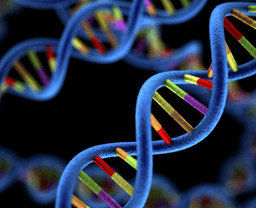 placeholder image to represent content