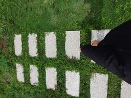 placeholder image to represent content