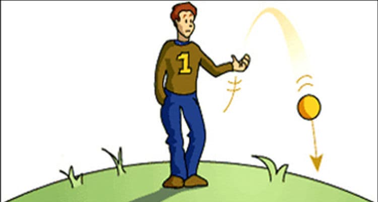 Question Image