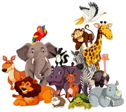 placeholder image to represent content