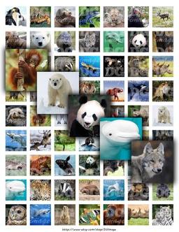 placeholder image to represent content