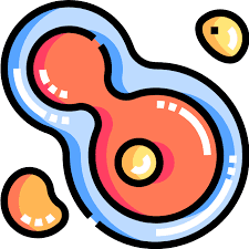 placeholder image to represent content