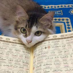 placeholder image to represent content