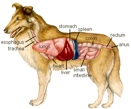 placeholder image to represent content