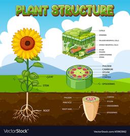 placeholder image to represent content